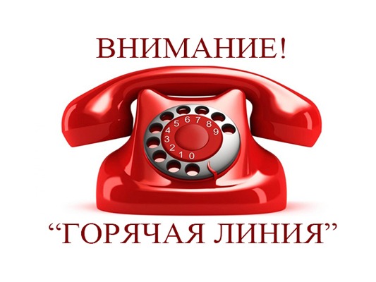 "Горячая линия" по вопросам предоставления государственных и муниципальных услуг.