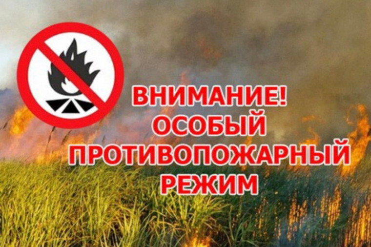 О введении особого противопожарного режима на территории Подосиновского муниципального района. О введении особого противопожарного режима на территории Подосиновского муниципального района.